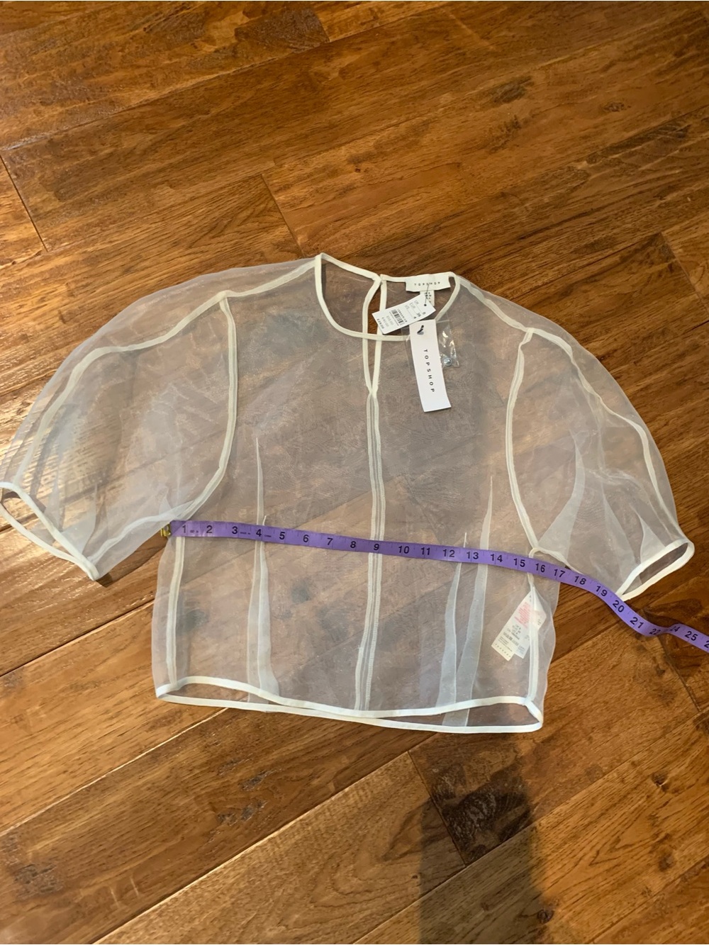 Topshop Sheer White Organza Crop Top with Piping - Picture 9 of 10